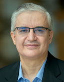Prof. Mohamed-Slim Alouini 